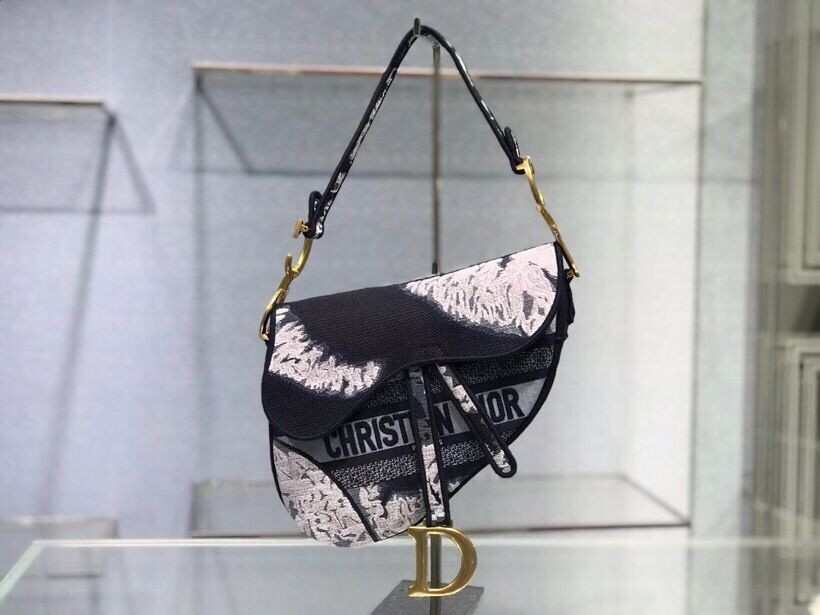AAA DIOR SADDLE CAMOUFLAGE POUCH D2456F GREY JH06914xn59