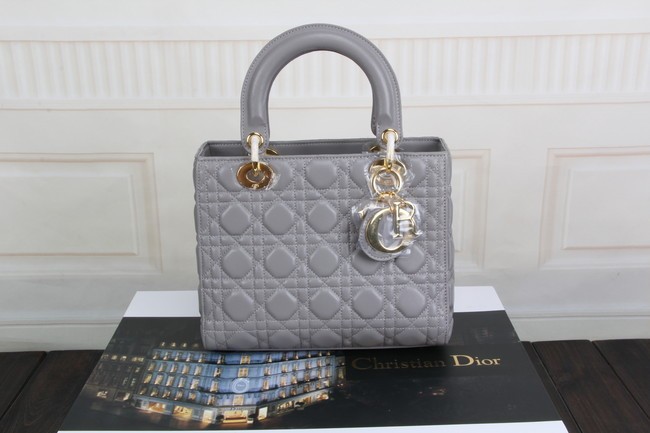 Dior 99002 original leather handbag Gray JH07676GL26