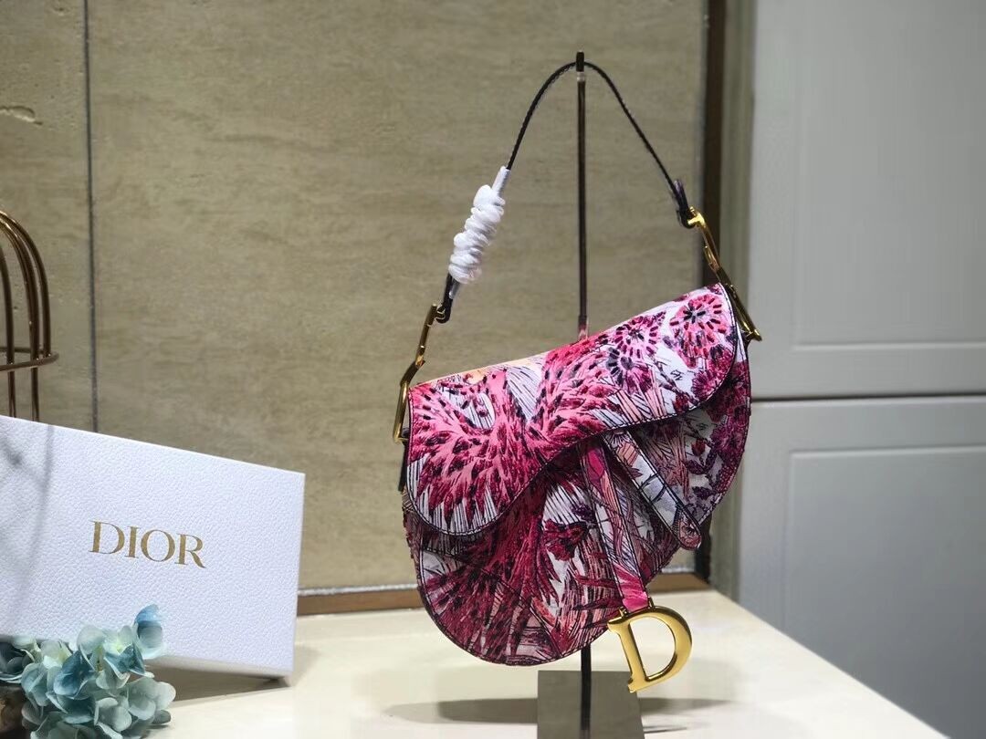 Dior GEBORDUURDE SADDLE-TAS AD0158 Phoenix JH07013DW49