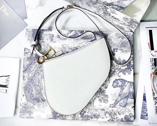 Dior SADDLE CALFSKIN CLUTCH S5642 white JH07281Dd98