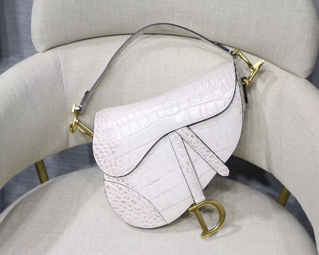 Fashion Dior SADDLE SOFT CALFSKIN BAG C9045 white JH07045NC66