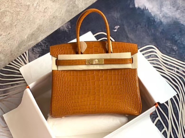 Hermes Birkin Bag Original Leather crocodile HBK35 brown JH01188gC81