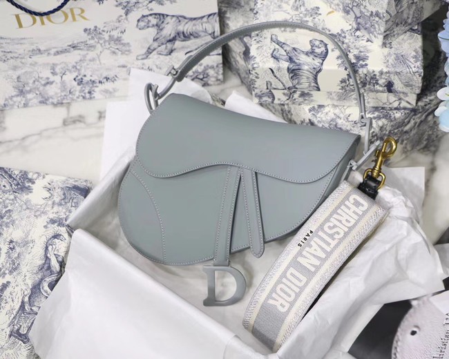 High Quality Imitation DIOR GRAY STONE SADDLE MATTE CALFSKIN BAG M0446I JH06979dt82