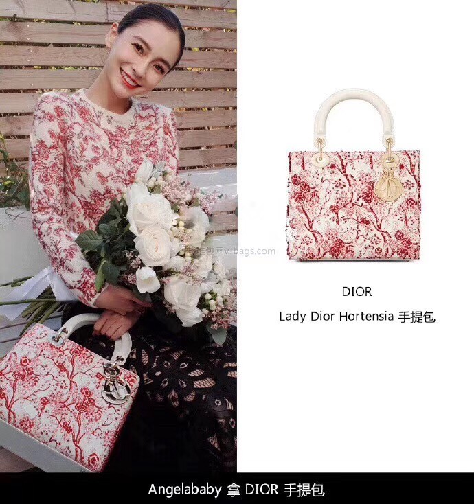 Imitation LADY DIOR-TAS TOILE DE JOUY M0505OSNH JH07364hu72