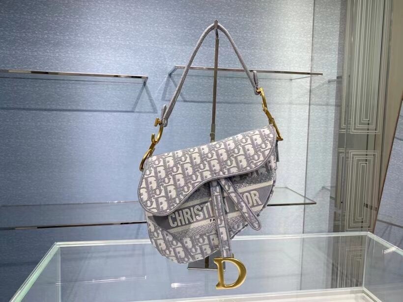 Imitation SADDLE BAG Dior Oblique Embroidered Velvet C0044 gray JH06865vW26
