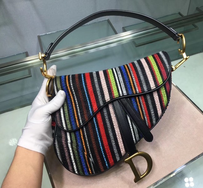 Knockoff Dior SADDLE Embroidered Leather Mini bag M0446 JH07167ll66