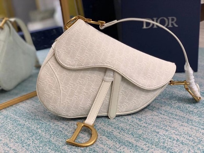 Luxury SADDLE BAG Gray Dior Oblique Embroidered Denim M0446C cream JH06919Zu29