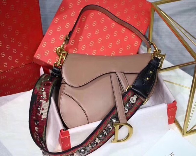 Top Copy Dior MINI SADDLE BAG CALFSKIN M0447 apricot JH07516po42