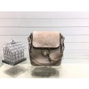 AAA 1:1 Chloe Faye original suede leather Backpack C4756 apricot JH08904Lg12