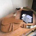 Imitation Hot DIOR OBLIQUE SADDLE BELT BAG M9020 brown JH07153Rl62