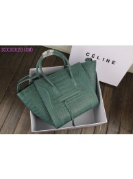2015 Ceilne hot style crocodile 3341 green JH06404zm75