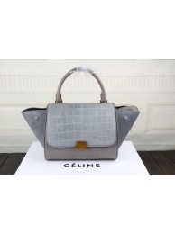 2015 Ceilne hot style crocodile 3345 gray JH06400Bh43