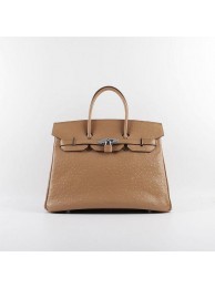 2015 Hermes new models ostrich pattern 6089 apricot silver chain JH01863sj48