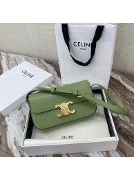 Celine TRIOMPHE SHOULDER BAG IN NATURAL CALFSKIN 194143 green JH05795Sx31