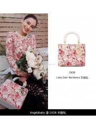 Imitation LADY DIOR-TAS TOILE DE JOUY M0505OSNH JH07364hu72